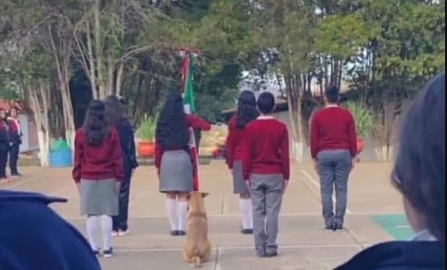 Estudiantes adoptan a perrito que se viralizó tras marchar con escolta