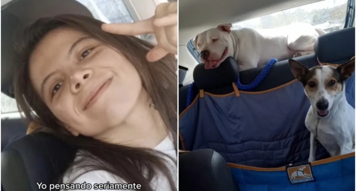 Joven Crea &#039;Uber Canino&#039; y Revoluciona TikTok