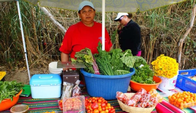Invitan a consumir local y responsable en el primer Mercadito Verde Morelos de septiembre