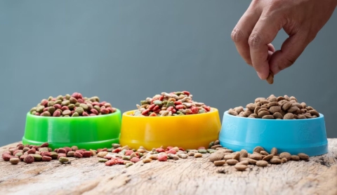 Profeco te ayuda a elegir las mejores croquetas para tu perro