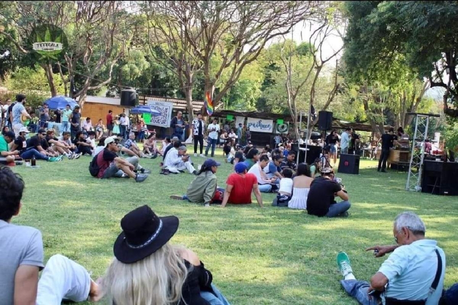 Los organizadores del evento invitan a la población a acercarse para conocer mejor la planta.