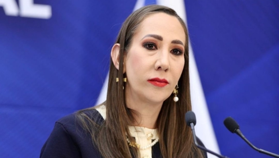 Noemí Luna, vicecoordinadora del PAN en Diputados.