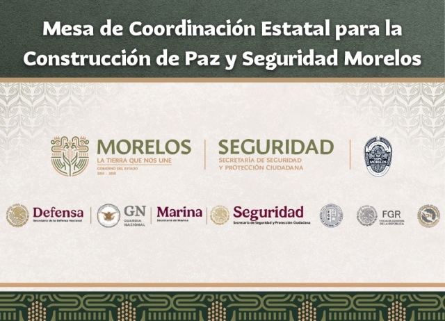 Informa Mesa de Seguridad Morelos sobre agresi&oacute;n en bar irregular en Ayala; ocho personas perdieron la vida