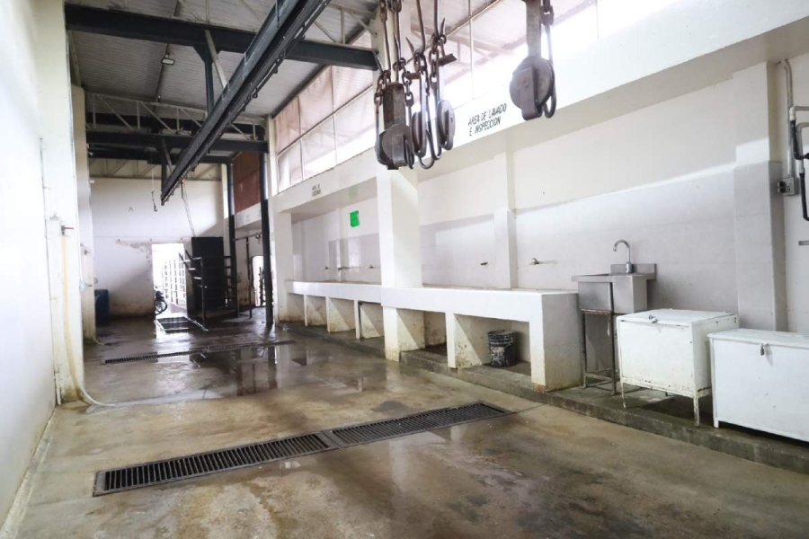 Los estudiantes serán enviados a realizar prácticas al rastro, del cual podrían proponer mejoras en su operación.