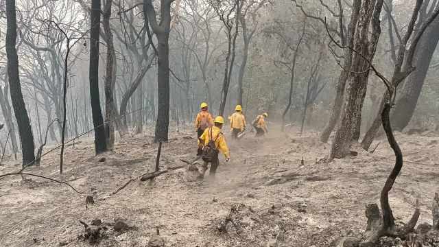 Se mantiene 20% de control del incendio forestal en paraje &#039;Malinalapa&#039;: EEMI