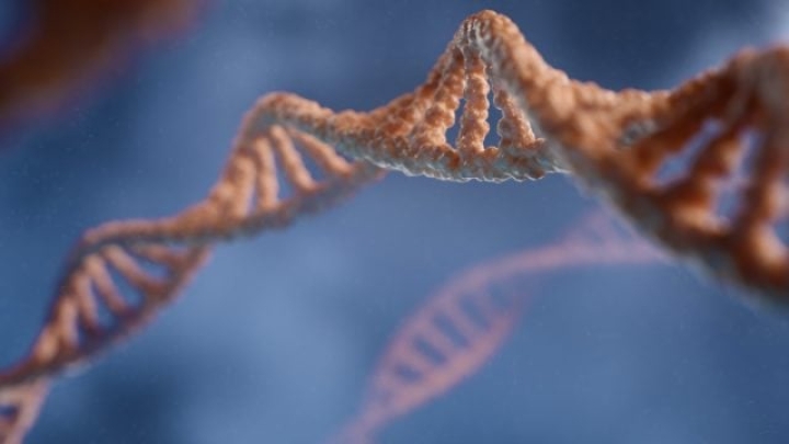 Pérdida del cromosoma Y en los hombres, con la edad, favorece crecimiento de cáncer