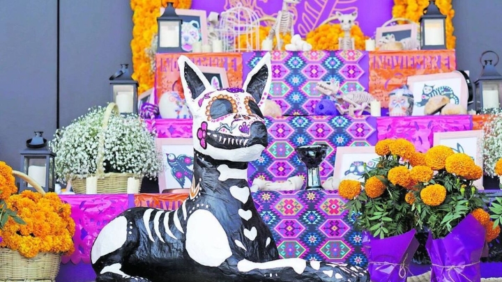 Día de muertos de las mascotas: Fecha, significado y cómo preparar su altar