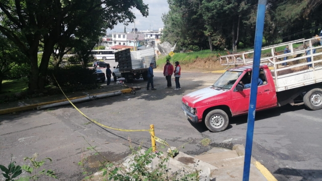 Cae árbol en circuito interno del campus Chamilpa de UAEM