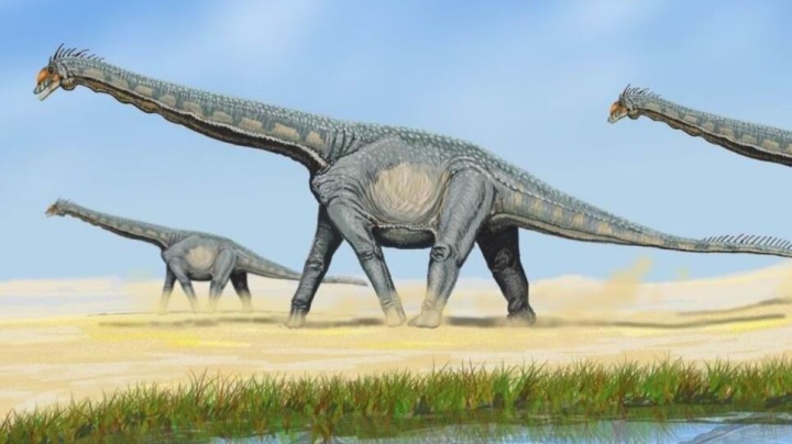 Encuentran huevos de dinosaurio en perfecto estado