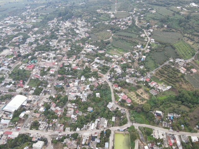 Operativo de Sedena en Tlalnepantla para detectar tala clandestina y delitos ambientales