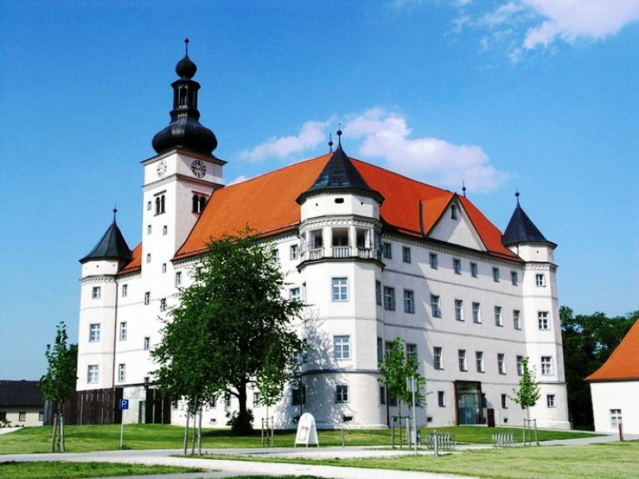 Hallan capa de cenizas y restos óseos en campo nazi de Austria