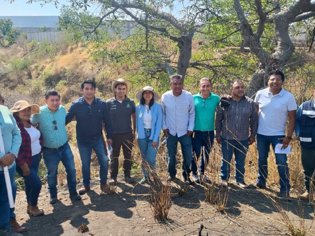 Avanza delimitaci&oacute;n territorial en zona metropolitana del Oriente