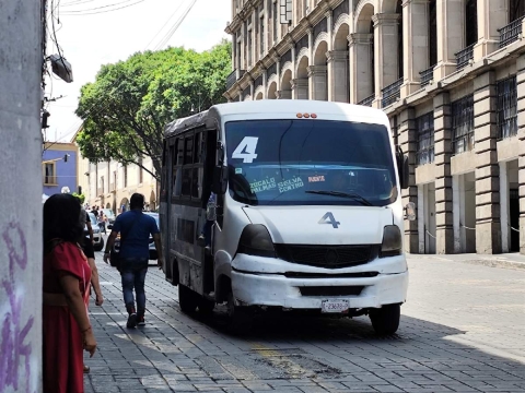 La mitad de “rutas” son modelos viejos: dirigente