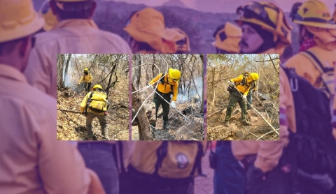 BENEFICIOS PARA COMBATIENTES FORESTALES