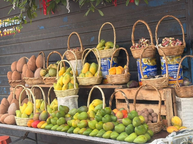 Familia preserva tradici&oacute;n frut&iacute;cola ante abandono de huertas en Coatl&aacute;n del R&iacute;o