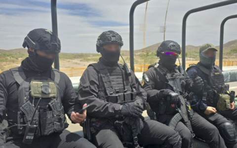 ICE reporta desmantelamiento de laboratorios en Sinaloa