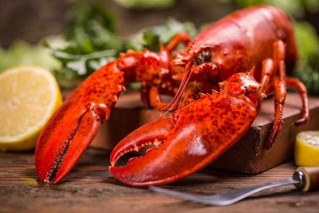 Esplendor culinario: Celebra el día de la langosta