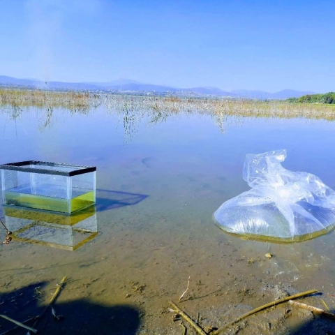 Las lluvias de esta temporada han permitido la recuperación del nivel de la laguna.
