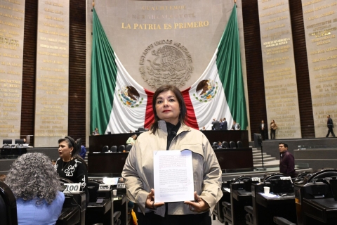 Diputada Meggie Salgado impulsa propuesta para modernizar la movilidad en aeropuertos rumbo al Mundial 2026