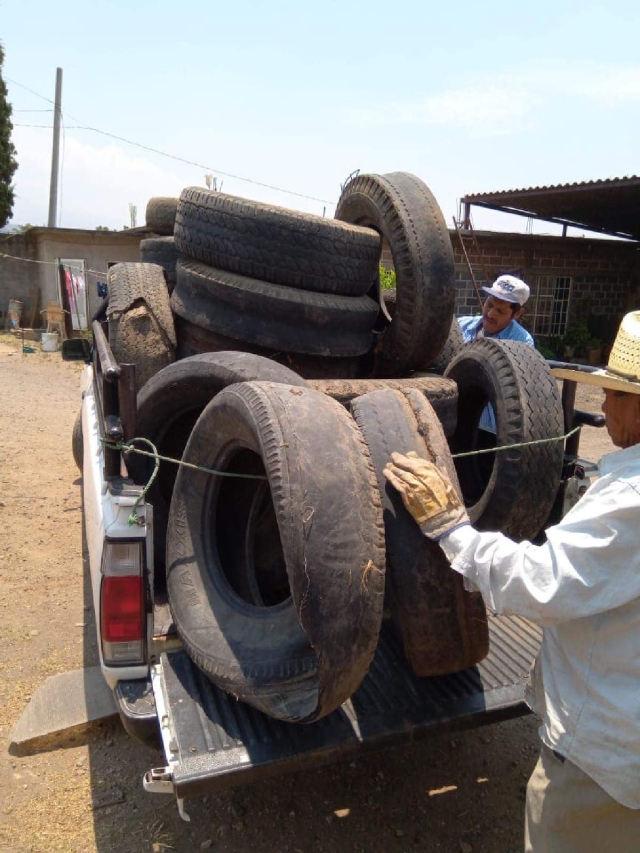 Los neumáticos serán llevados a un centro de acopio.