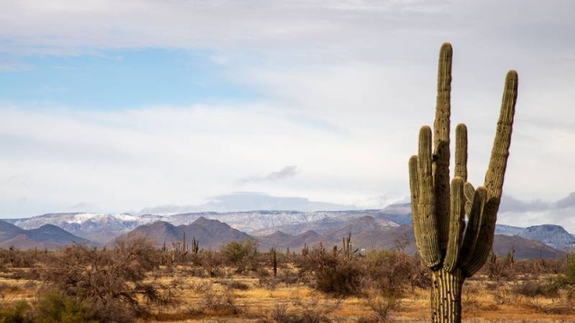 Ola de calor ‘asa’ Europa, pero México no se queda atrás: tiene el lugar más caliente del planeta