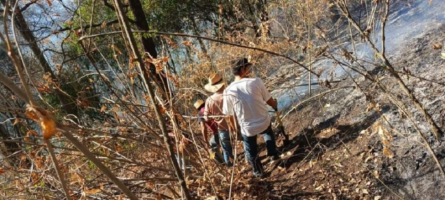 En esta temporada ya se han registrado diversos incendios en el estado.