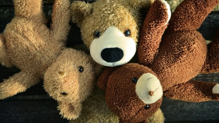 ¿Cómo desinfectar los peluches de tus hijos? Método fácil, rápido y seguroe