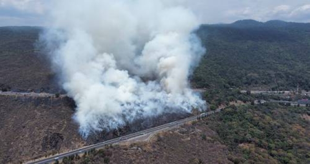 Conafor: más de 15 mil hectáreas dañadas en el país por 49 incendios