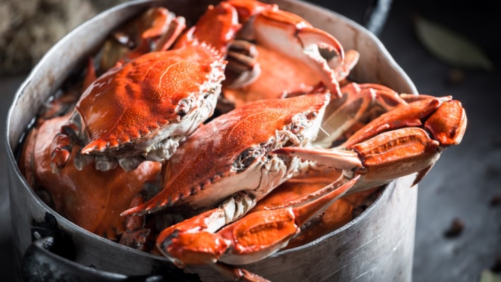 ¿Cómo se cocinan los cangrejos? Guía básica para preparar este alimento