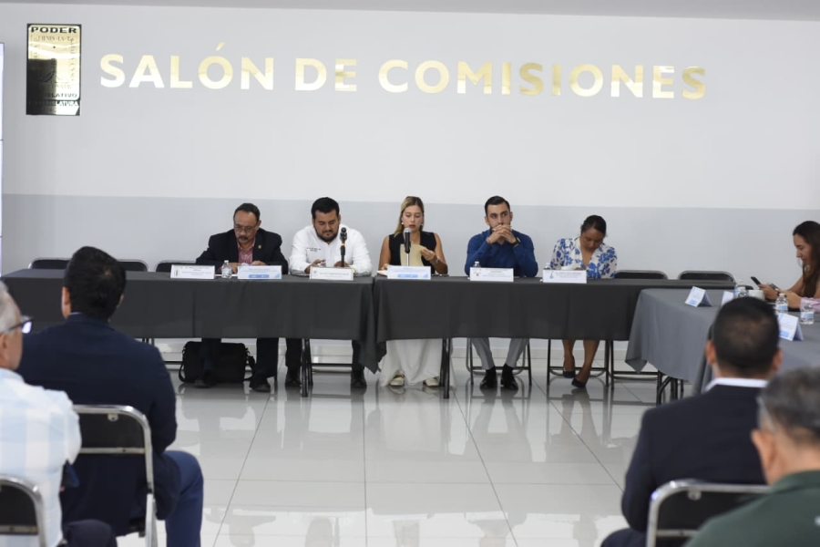 Encabeza diputada Andrea Gordillo presentación 'Proyectos de leyes de ingresos municipales'