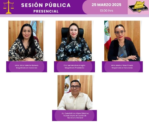 Sanciona TEEM a excandidata Lucía Meza 