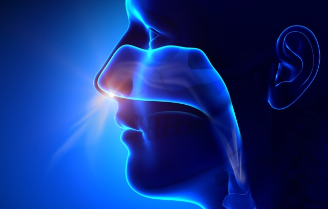 Descubren que cada persona tiene una &#039;huella respiratoria&#039; única
