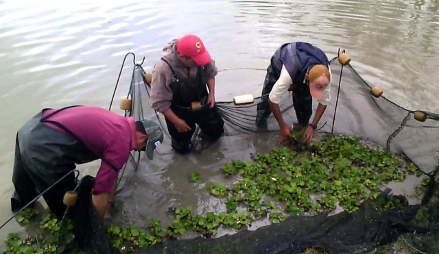 Pescadores del poniente buscan alternativas para obtener ingresos