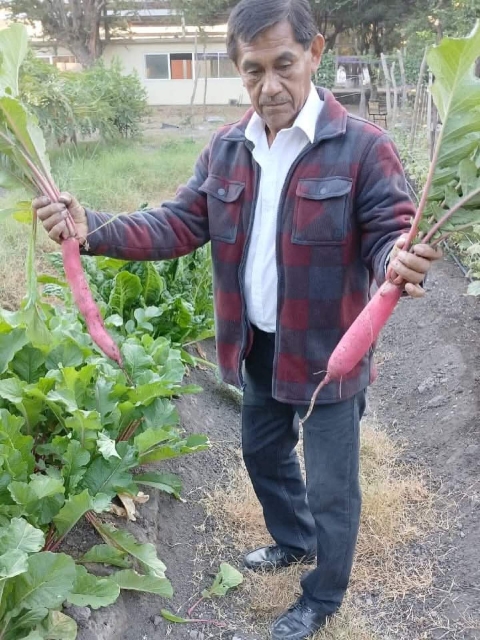 Secundaria de Coatetelco logra primera cosecha en huertos escolares