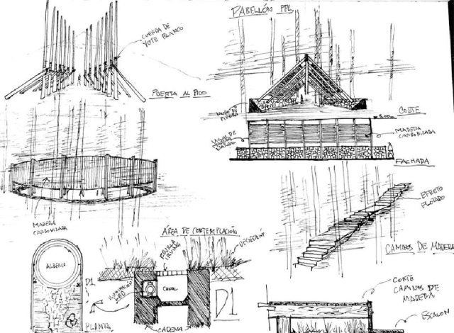 WIDOARQUITECTOS. Estudios previos. Eco hostal Tlachichuca.