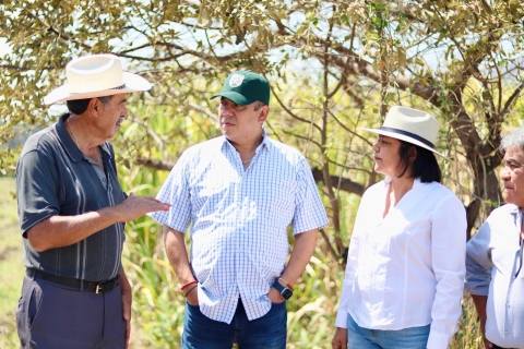 Llama Gobierno de Morelos a productores agrícolas a prepararse ante disminución de lluvias por canícula