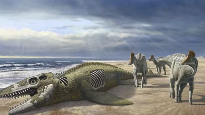 Fósil revela nueva especie de dinosaurio del tamaño de un poni
