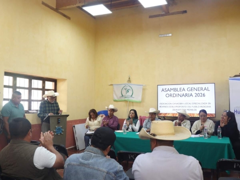 Eval&uacute;an situaci&oacute;n que enfrenta la ganader&iacute;a en Hueyapan