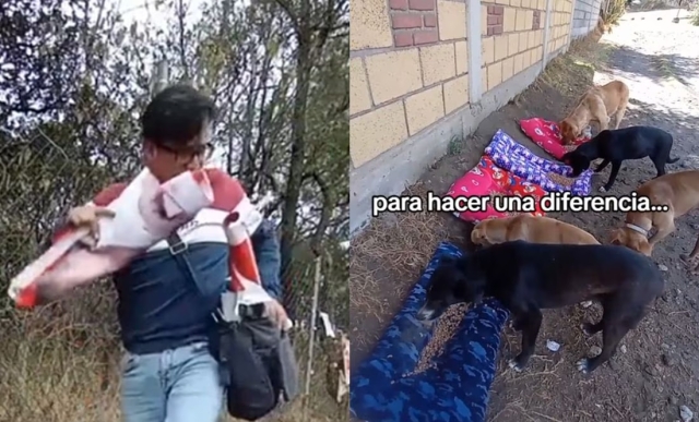 Hombre convierte basura electoral en camas para perritos callejeros