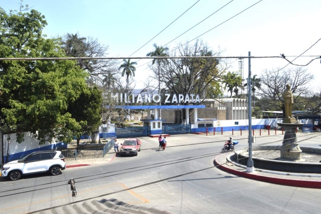 El Ingenio Emiliano Zapata de Zacatepec desconoce el grado de afectaci&oacute;n de los cultivos por el hongo Fusarium SPP.