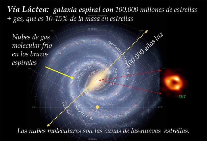 Ninguna arquitectura de los sistemas planetarios es como nuestro sistema solar: Estela Susana Lizano