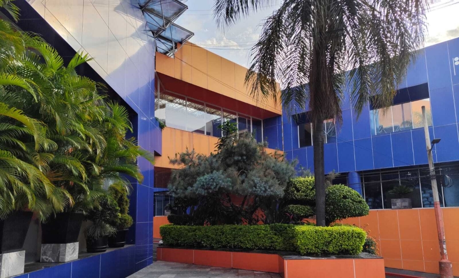 Habra prórroga para transportistas en pago del refrendo vehicular 2025, confirma Movilidad