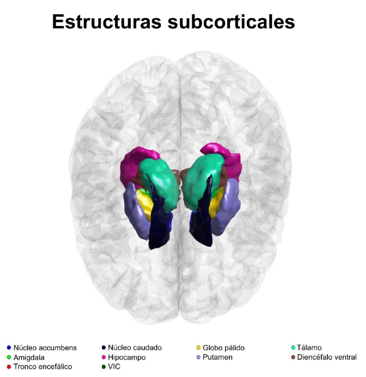 Descubriendo los secretos del cerebro humano a través de las ciencias genómicas