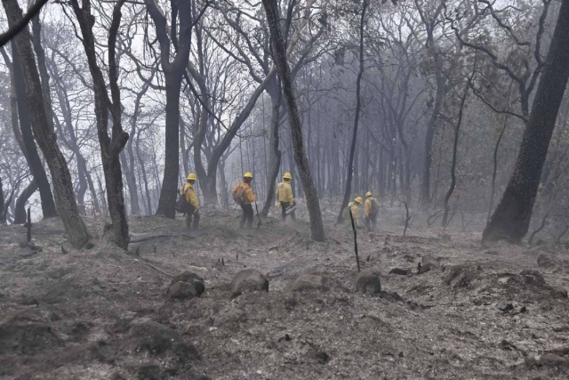 Exige diputada más recursos federales contra incendios