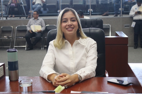 Plantea diputada Andrea Gordillo reforma al Código Familiar