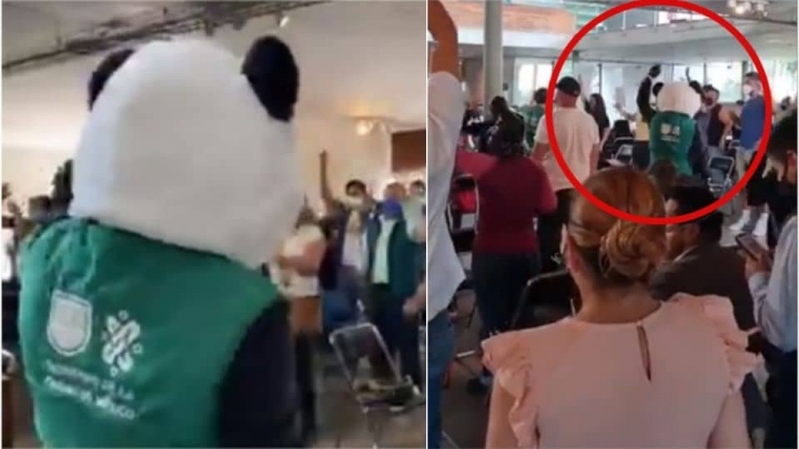 Pandas bailan al ritmo de Jeans y OV7 para amenizar vacunación.