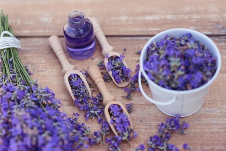 ¿Cómo hacer un desinfectante de sábila y lavanda para las manos?