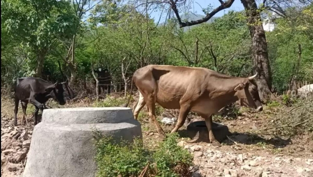 El dirigente se quejó del trato de los agentes de tránsito de los municipios de Cuernavaca y Jiutepec. Aseguró que detienen a los productores sólo por ser “gente del campo”. 