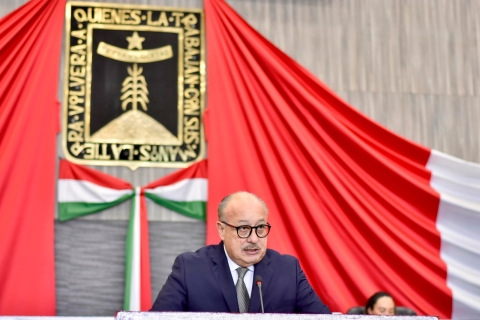 Violencia contra animales daña desarrollo infantil; implica problema de seguridad pública y salud mental: Luis Eduardo Pedrero