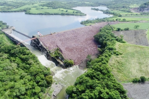Avanza tecnificación del distrito de riego 016 en Morelos